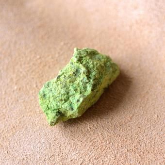 珪化木 ペトリファイドウッド 木の化石 アメリカ・ユタ州産 14.1 珪化木 ペトリファイドウッド 木の化石 アメリカ・ユタ州産 14.1