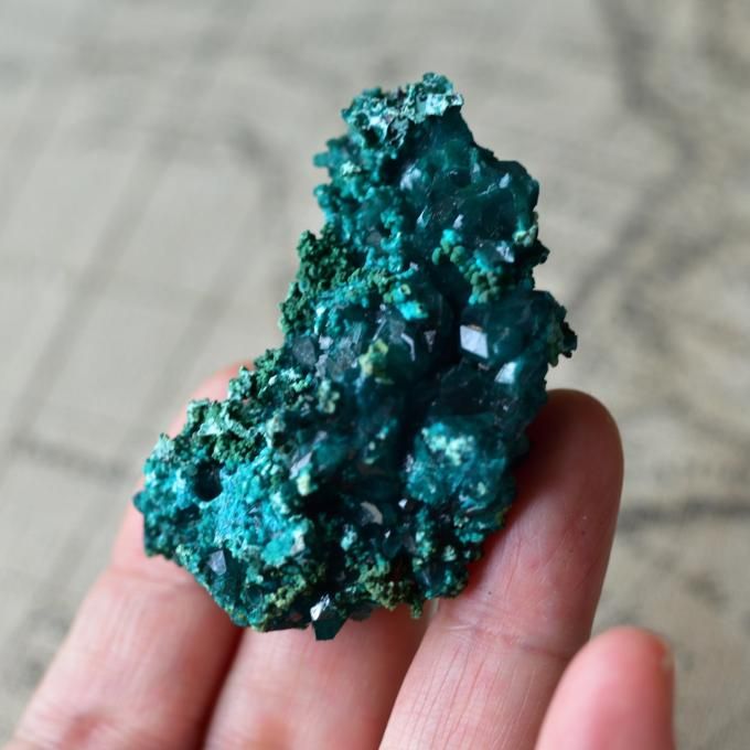 ダイオプテーズ クリソコラ 水晶 F21 共生 鉱物 標本 原石 ダイオプテーズ クリソコラ ベイルドナイト 碧色の秘宝 コンゴ