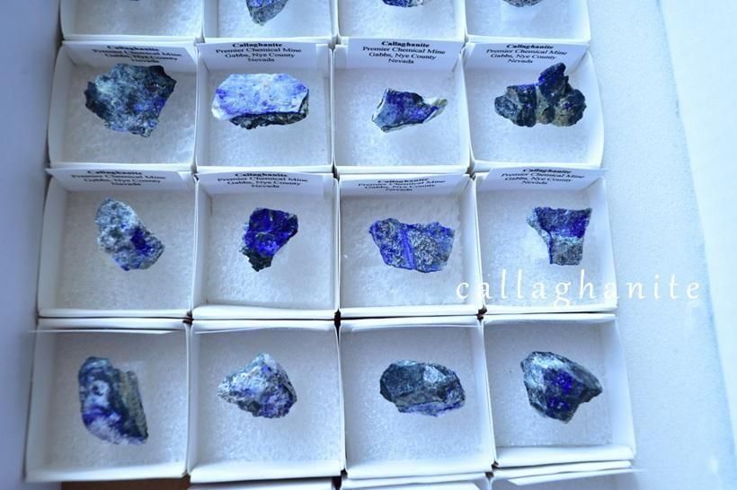 合計3万円以上お買い上げで「カラハナイト」をプレゼント♪