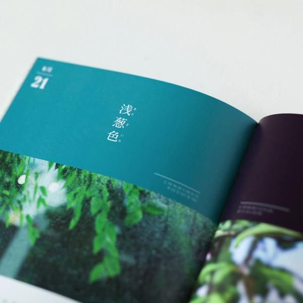 暦生活の本 365日にっぽんのいろ図鑑