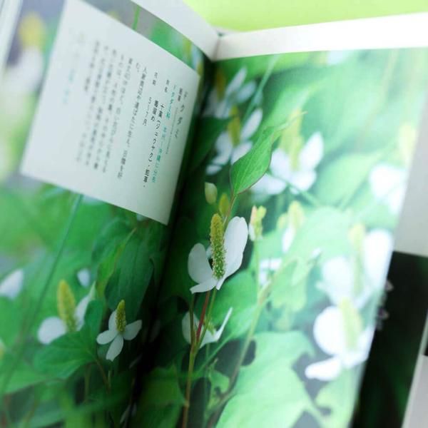 人気の辞典シリーズ 草の辞典 野の花 道の草 森乃おと