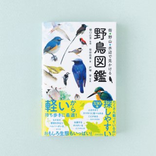 人気でかわいい書籍「街・野山・水辺で見かける野鳥図鑑」の紹介