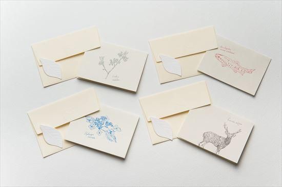 グリーティングカード単品 - 六月八日の森