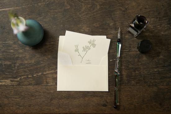 グリーティングカード単品 - 六月八日の森