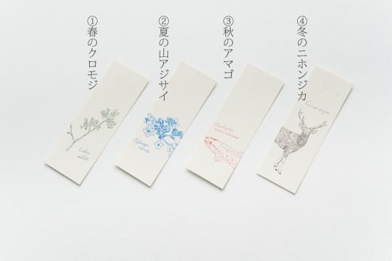 栞 セット シリーズ1 - 六月八日の森