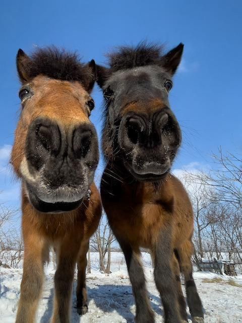 <img class='new_mark_img1' src='https://img.shop-pro.jp/img/new/icons1.gif' style='border:none;display:inline;margin:0px;padding:0px;width:auto;' />ϤĶȥޥץ