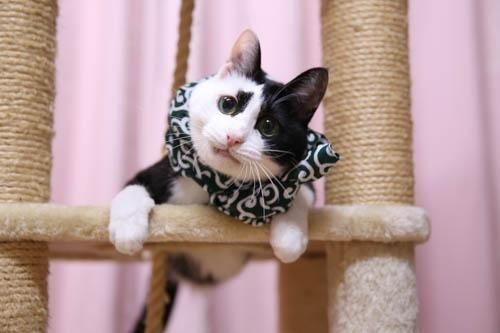 �Ϥ����������ɥ��֥�����