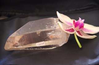 CL028  Crystaline Lemurian (Golden , Channel Face, Unusual Markings, ISIS, Rehealed) 465g