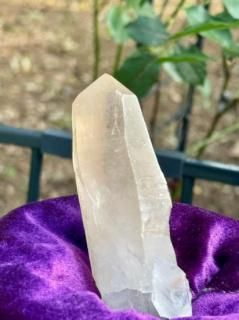 Pink Dream Lemurian Seed  Step FaceLSN25-022