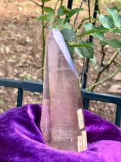 Original Lemurian Seed Shavel Face Ray of Light   LSN25-005