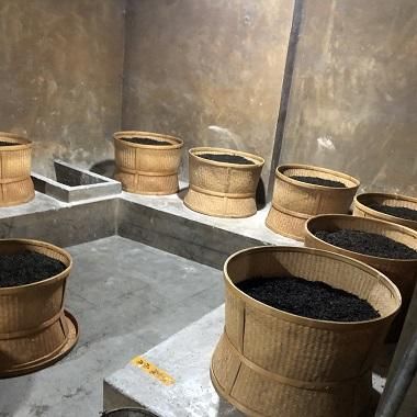 岩茶 高山肉桂 2024年 【にっけい】 - 中川誠盛堂茶舗