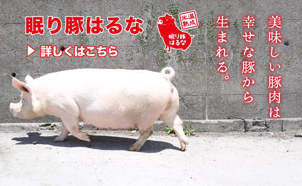 2283円 在庫処分 The Oniku ザ お肉 家族に幸せを贈る幸の豚 カルビ三昧 ギフト