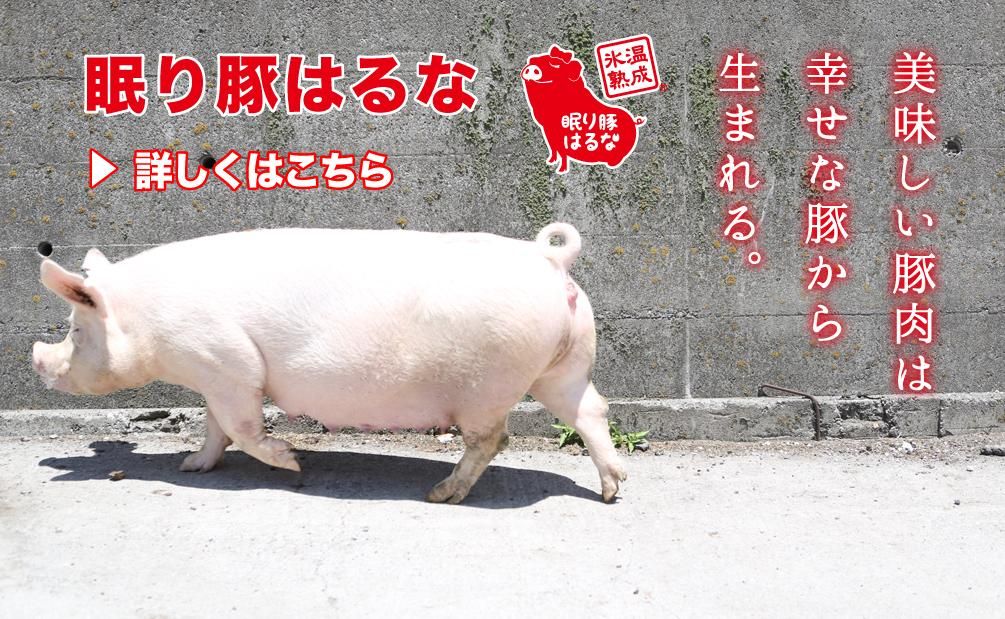 2283円 在庫処分 The Oniku ザ お肉 家族に幸せを贈る幸の豚 カルビ三昧 ギフト 2283円 在庫処分 The Oniku ザ お肉 家族に幸せを贈る幸の豚 カルビ三昧 ギフト