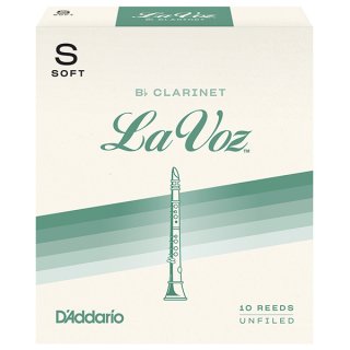 D'Addario ꥪ La Voz(顦ܡ) Bͥå 