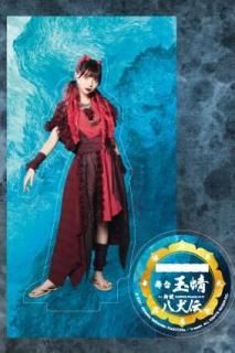 Vol.12「玉蜻 ～新説・八犬伝」 - DisGOONie Online Shop