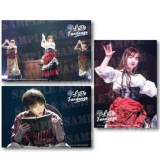 DVDリトルファンダンゴ Vol.11「Little Fandango」 - DisGOONie Online Shop