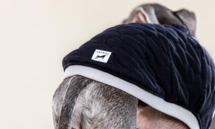 イタグレ　ウィペット　ウールTシャツ Whippet cotton shirt - Etsy 日本