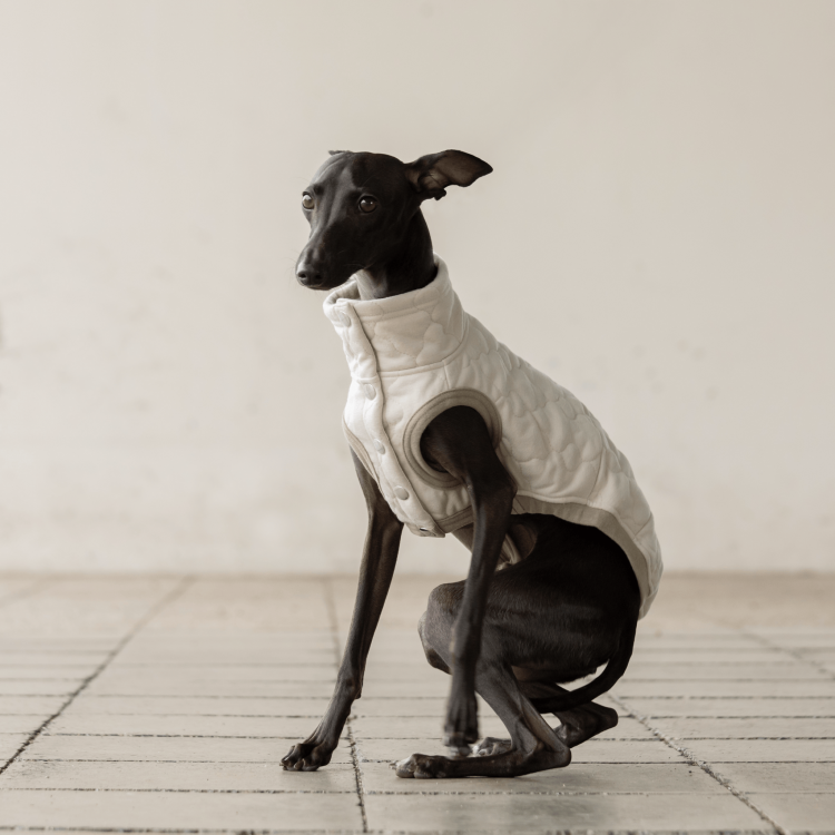 QUILTING VEST [IVORY]