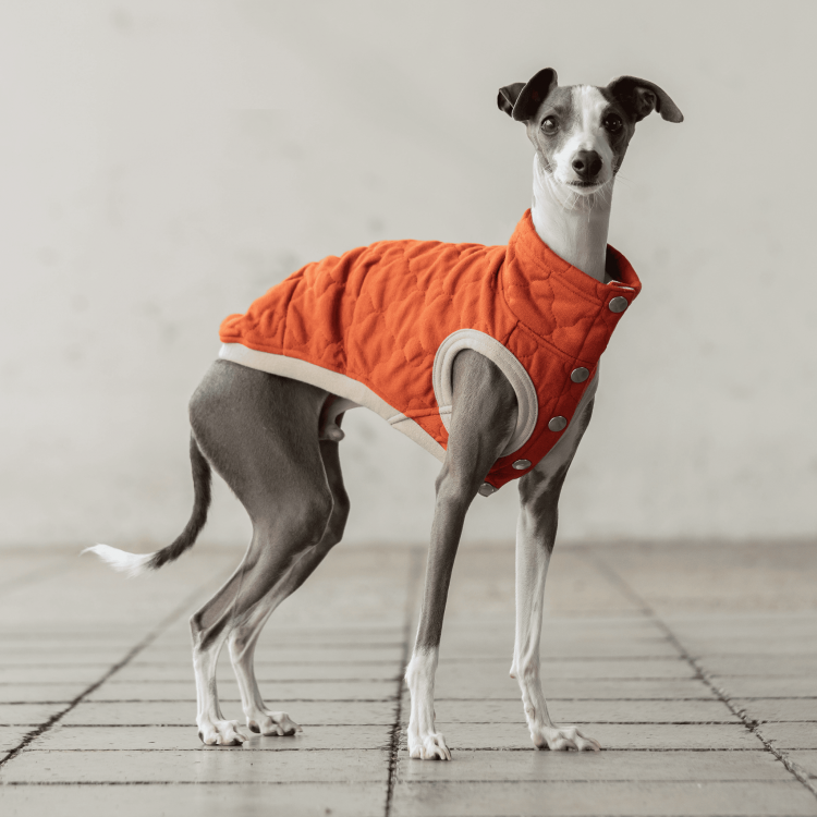 QUILTING VEST [ORANGE]