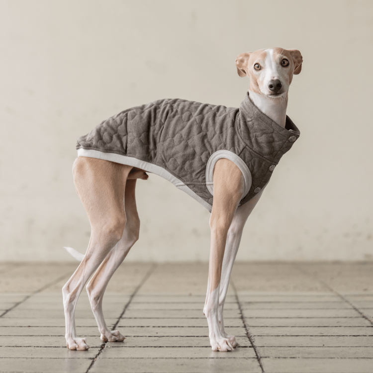 QUILTING VEST [CHARCOAL]