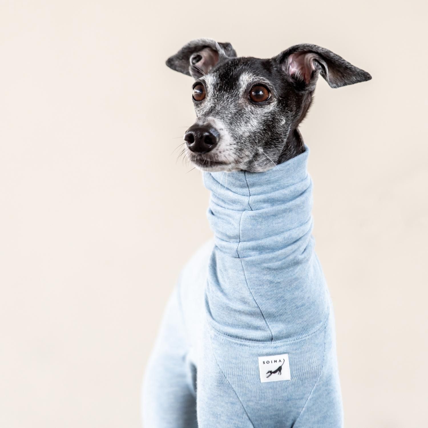ORGANIC COTTON ROOM WEAR [LIGHT BLUE] - イタグレ