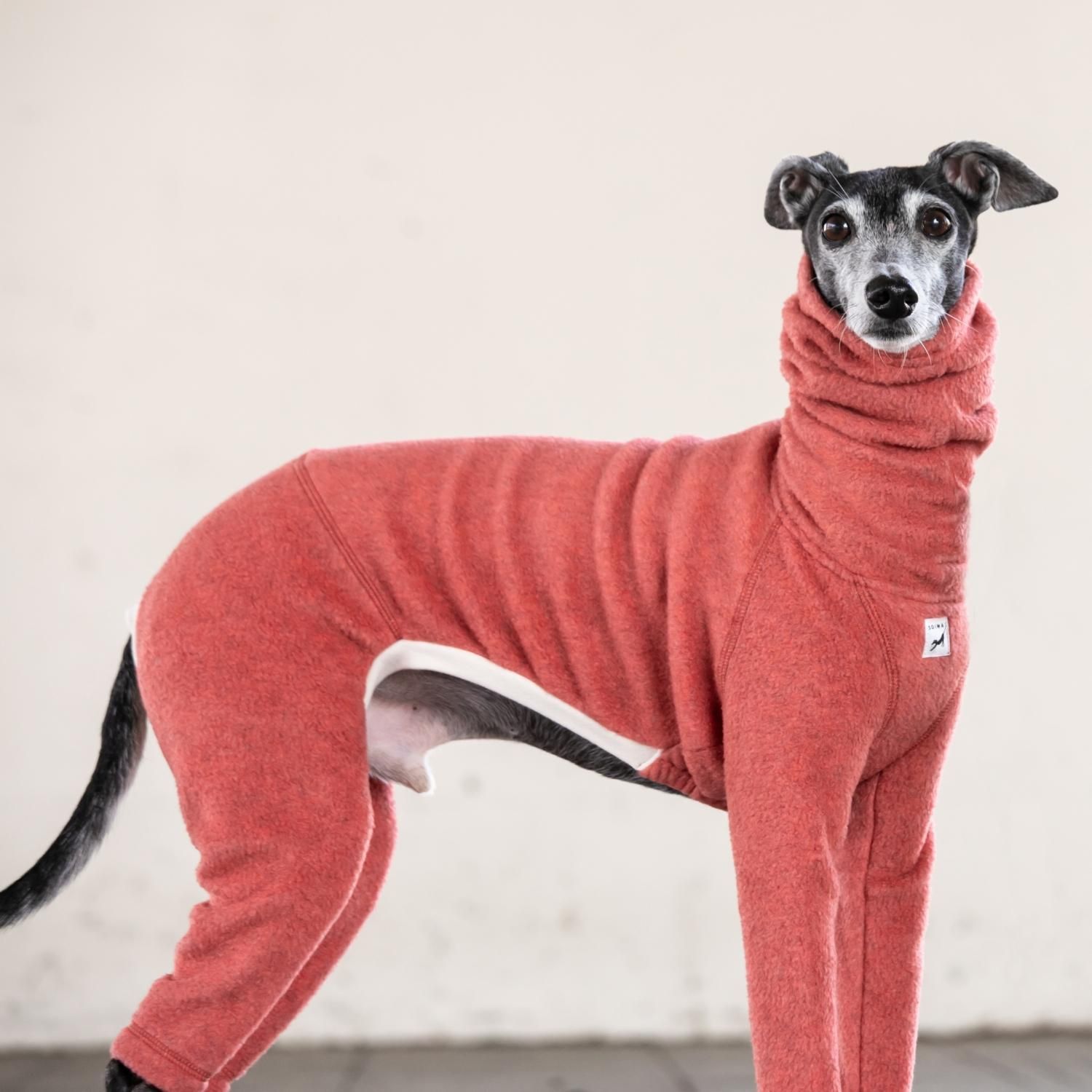 お待たせ! - [ORANGE] ROMPERS L/S FLEECE イタグレ SOIMA ウィペット服 / その他