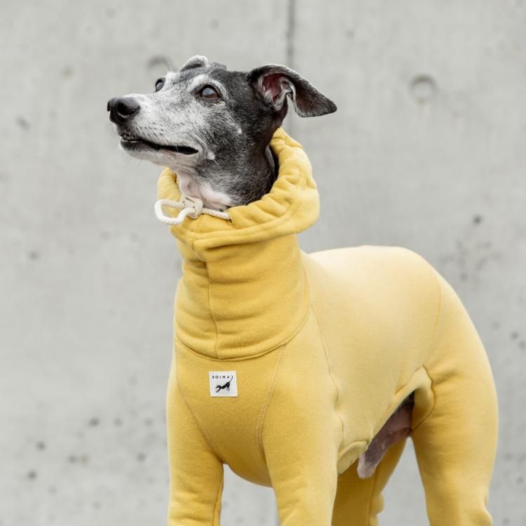 COTTON SWEAT PARKA ROMPERS [LEMON]