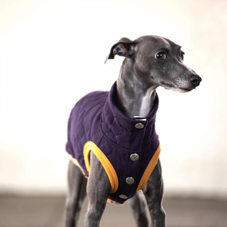 QUILTING VEST [PURPLE]