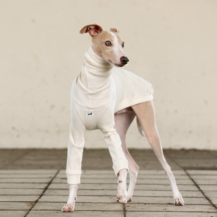 ORGANIC COTTON WAFFLE T-SHIRT [WHITE]