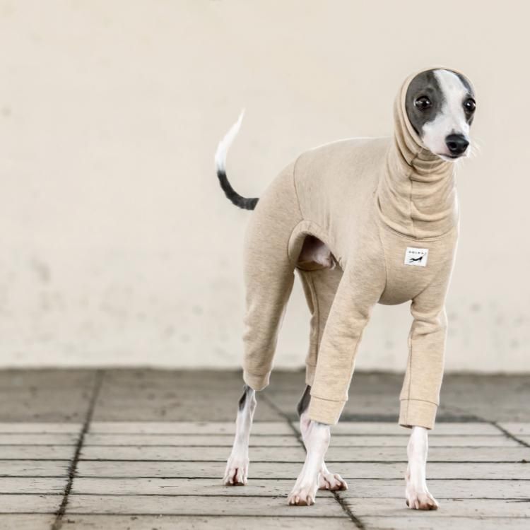 ORGANIC COTTON ROOM WEAR [BEIGE]