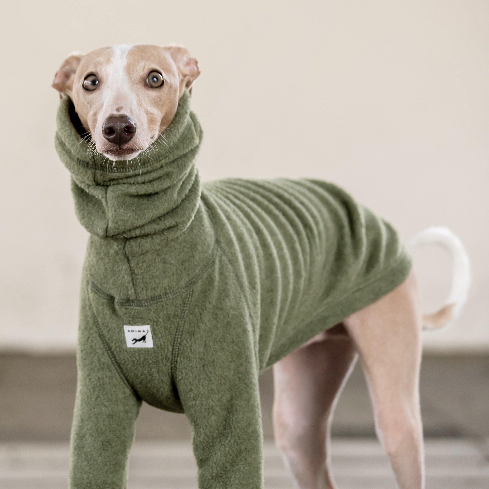 大型セールや時期 FLEECE TEE [GREEN] - イタグレ / ウィペット服 SOIMA | ソイーマ 犬服・アクセサリー
