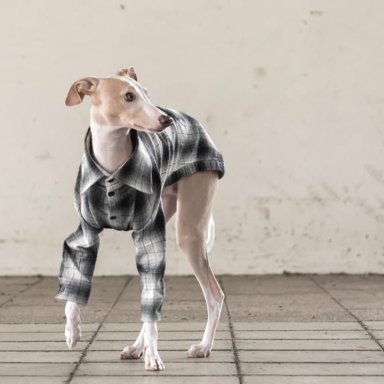 OMBRE CHECK PATTERNED COTTON SHIRT [BLACK/WHITE]