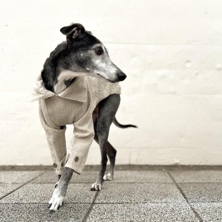 LINEN WOOL SMOCK [ECRU]