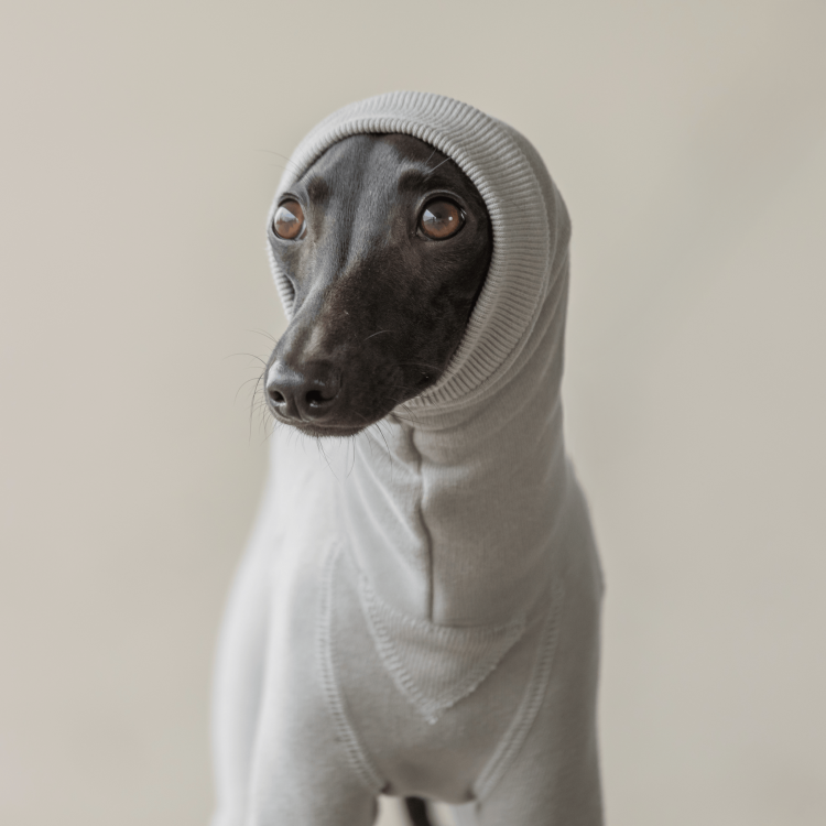 TSURIURAKE SWEAT L/S ROMPERS [FOG]