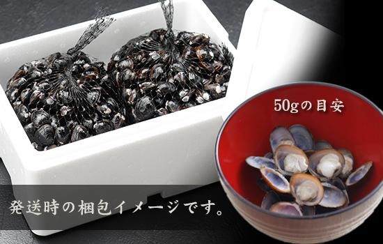 【関東〜九州エリア送料無料】大和しじみ（宍道湖産）S 約400粒入 1kg×6 生鮮 島根県宍道湖産大和しじみ Mサイズ（12㎜～13㎜）1㎏