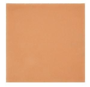 ¥×¥ì¥ß¥¢¥à¡¡ÈéÉæÊݸ¡¼¥È