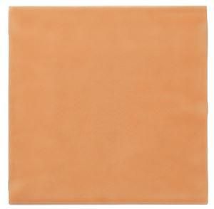 ¥×¥ì¥ß¥¢¥à¡¡ÈéÉæÊݸ¡¼¥È