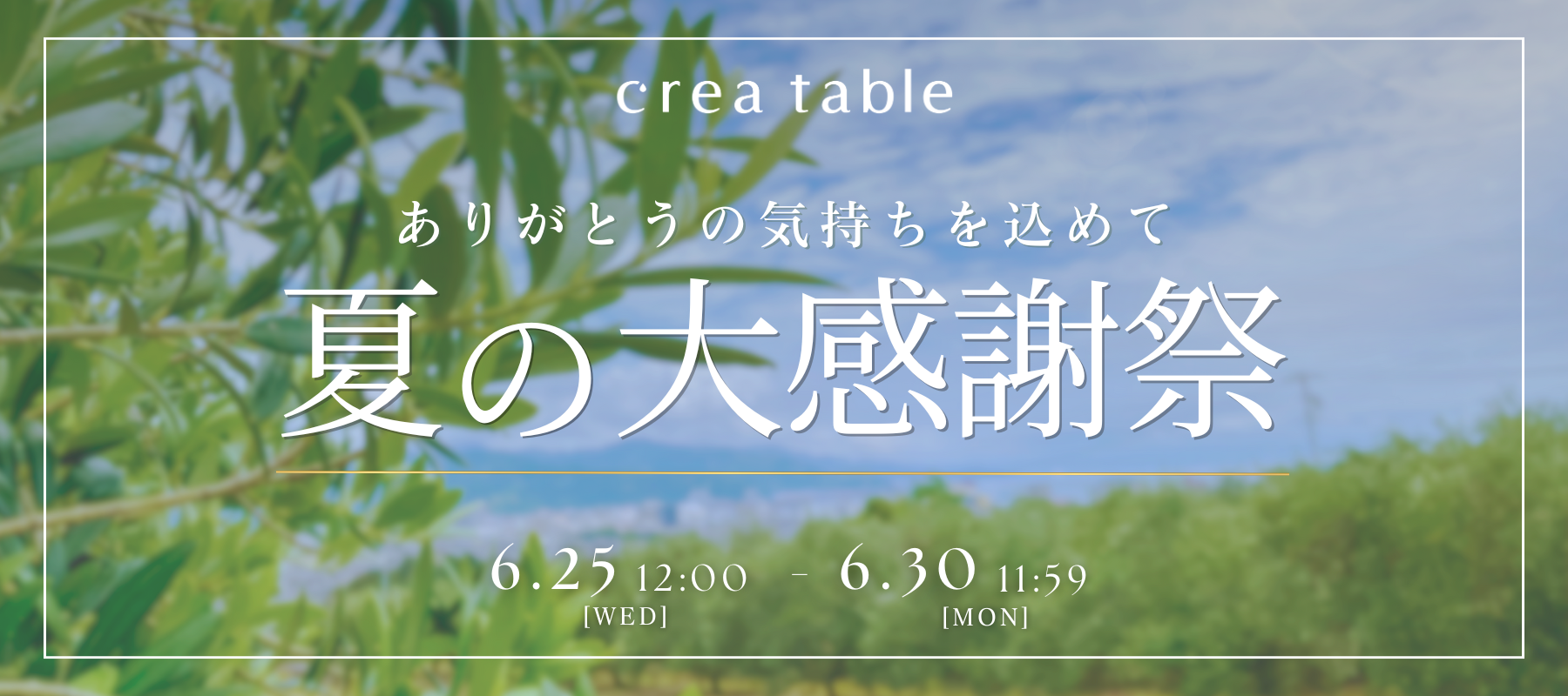 Ƥ紶պ
