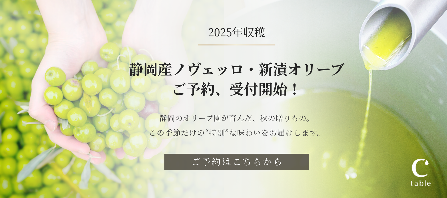 2025ͽ󳫻
