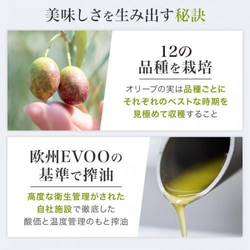 2024年静岡産エキストラバージンオリーブオイル 搾りたて 新油 2024年静岡産エキストラバージンオリーブオイル 搾りたて 新油