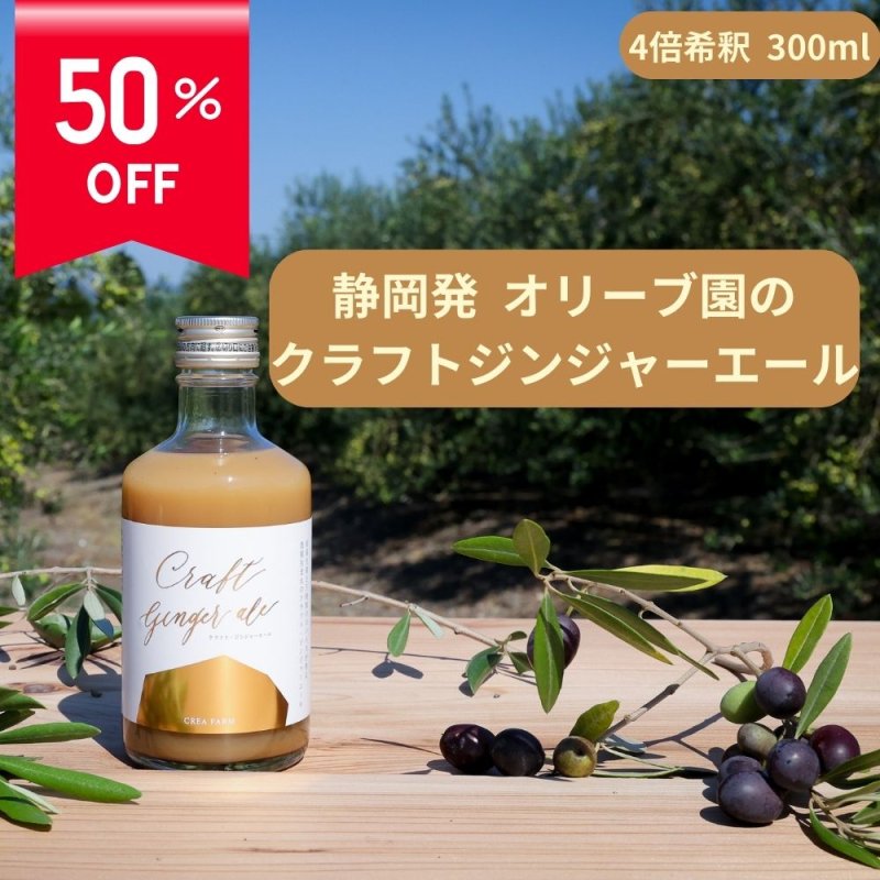 【50％OFF】Craft Ginger ale クラフトジンジャーエール 300ml（4倍希釈用）賞味期限2024.2