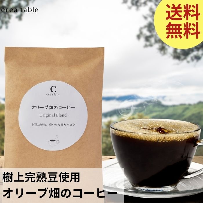 送料無料1000円ポッキリ オリーブ畑のコーヒー
