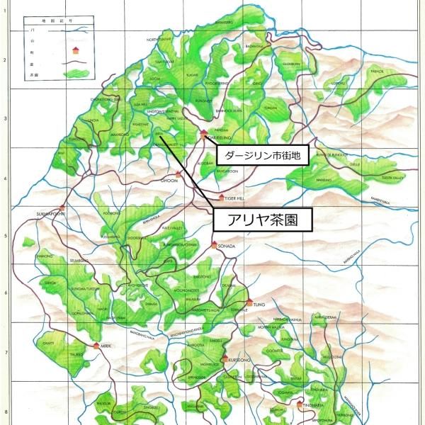 紅茶　愛莉65個 松屋銀座初秋のセイロン紅茶販売会のご案内！ 紅茶ファンの皆様
