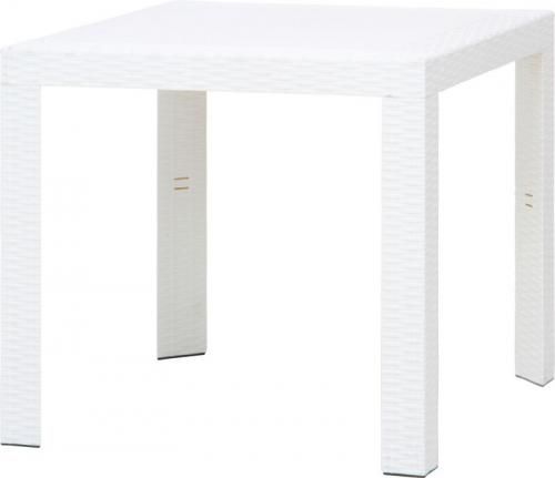 [C/D:49923] ƥ ơ֥  ۥ磻ȡʣ