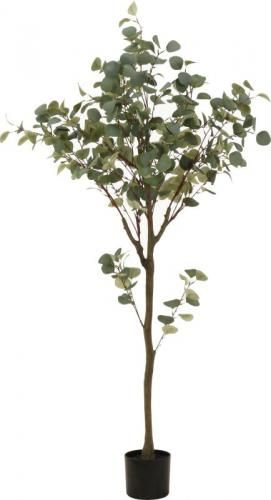 [C/D:41120] ե꡼ 桼  祤