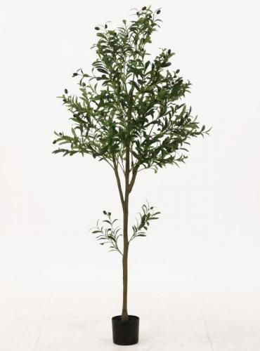 [C/D:41122] ե꡼ ꡼  祤