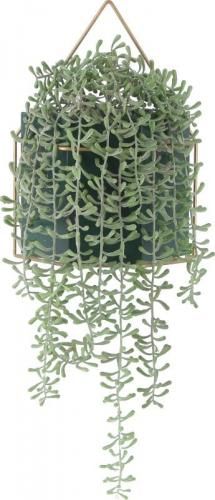 [C/D:41126] ե꡼ ߥťͥå쥹 ϥ󥮥