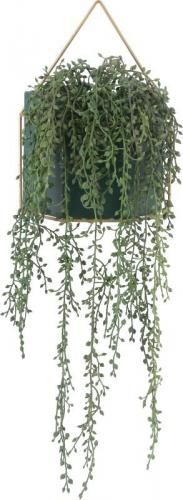 [C/D:41127] ե꡼ ꡼ͥå쥹 ϥ󥮥