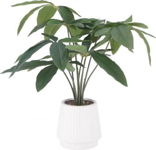 [C/D:41128] ե꡼ ѥ ߥåݥå