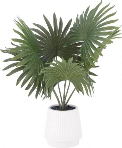 [C/D:41129] ե꡼ ѥʥޥ ߥåݥå